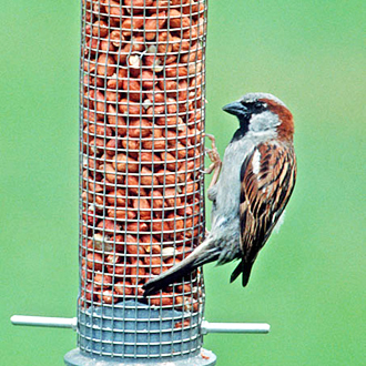 A far from common sight in some parts of the country